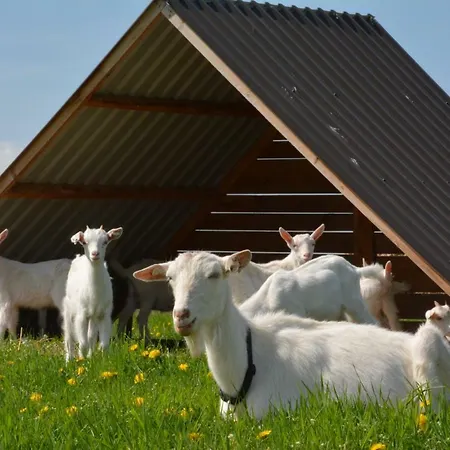 Farma Klínec Farma *